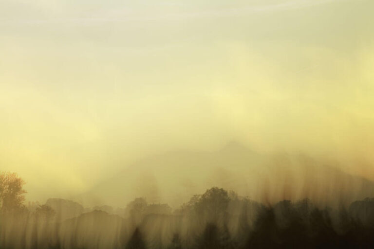 Daydream-Hazelling -02