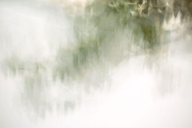 Daydream-Hazelling -07