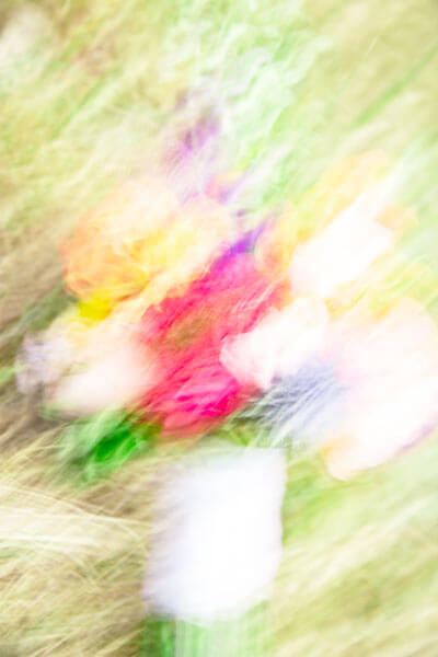 Flowers-Hazelling -01