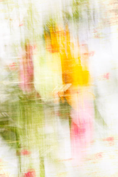 Flowers-Hazelling -02