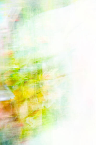 Flowers-Hazelling -03